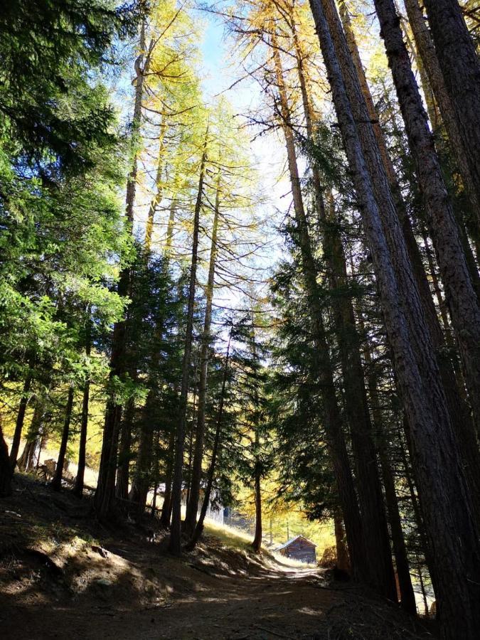 Chalet Le Trient Bagian luar foto