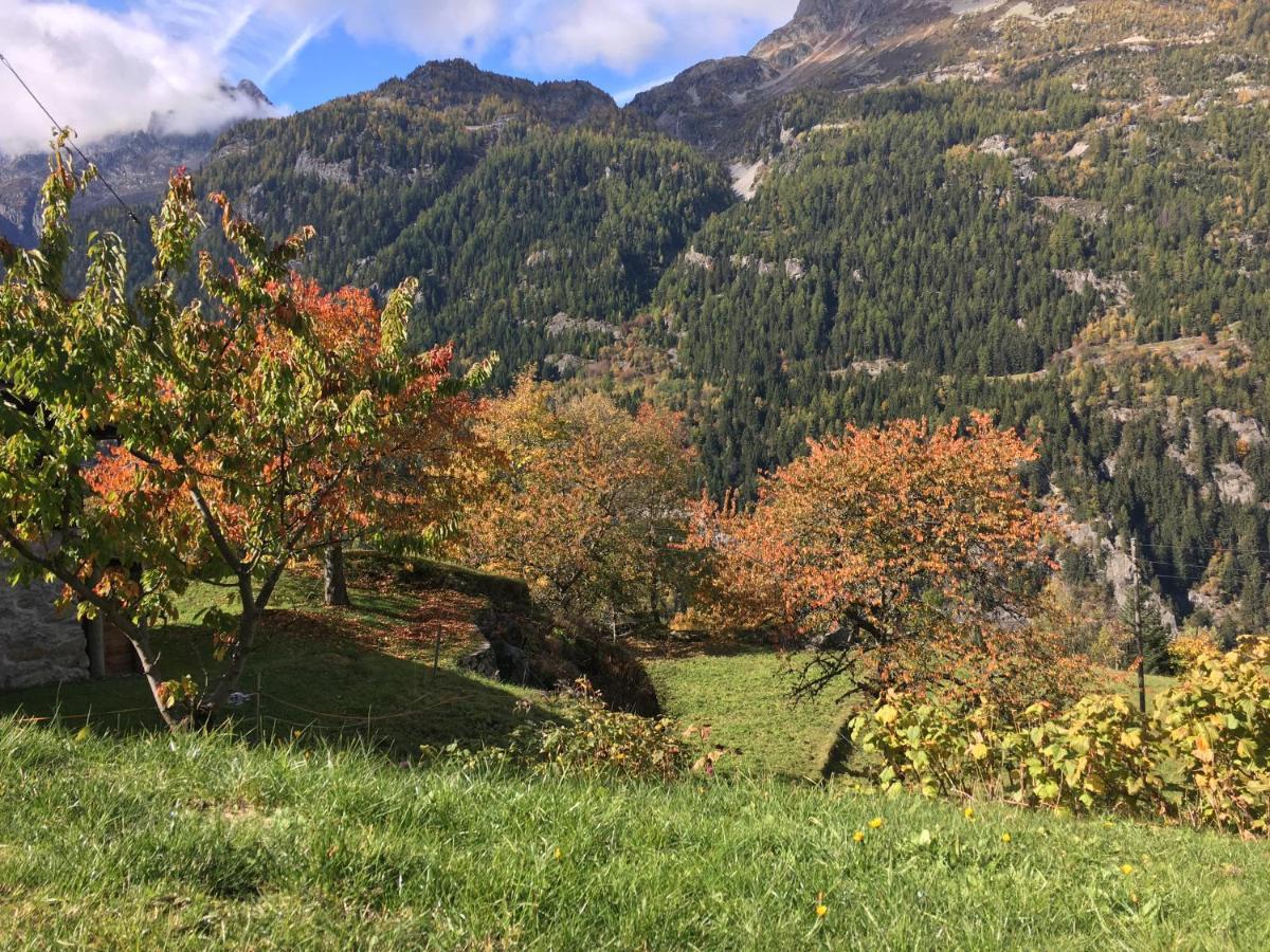 Chalet Le Trient Bagian luar foto
