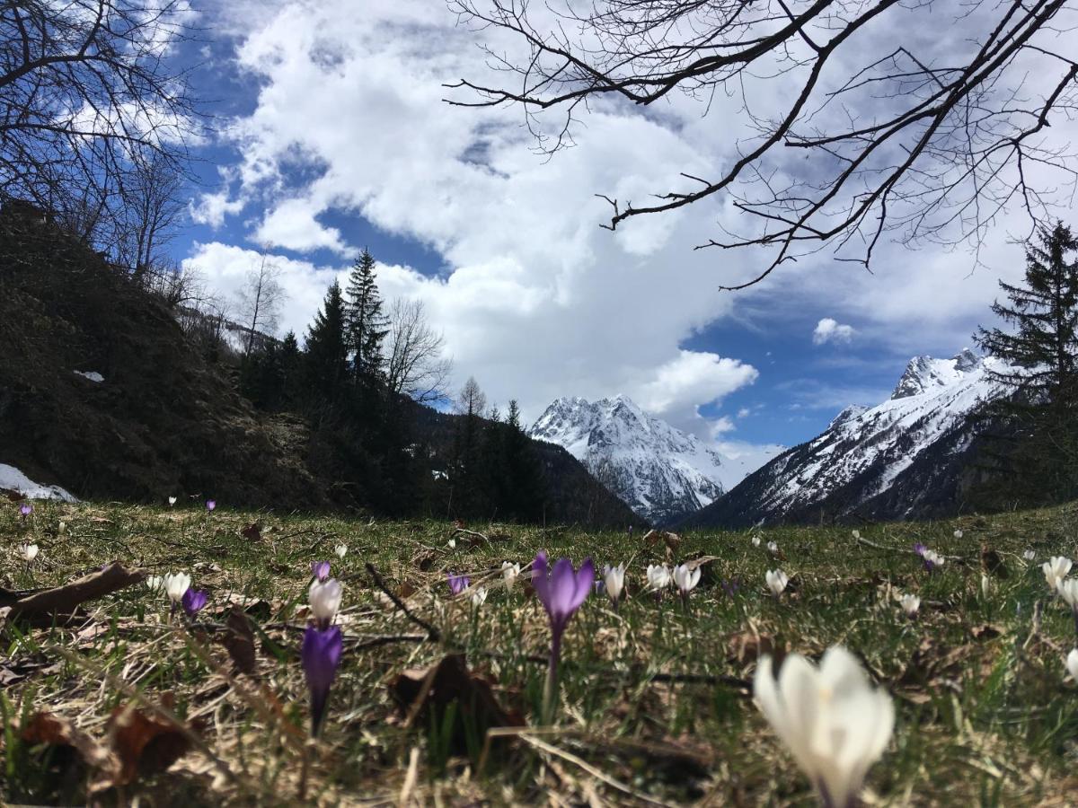 Chalet Le Trient Bagian luar foto